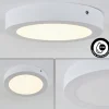 plafonnier extérieur Leto LED Blanc, 1 lumière