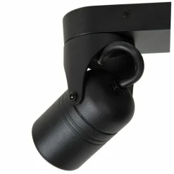 plafonnier extérieur Lucide NIORT Noir, 2 lumières