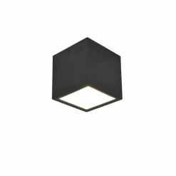 plafonnier extérieur Lutec Gemini LED Noir, 1 lumière