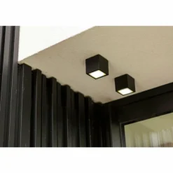 plafonnier extérieur Lutec Gemini LED Anthracite, 1 lumière