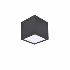 plafonnier extérieur Lutec Gemini LED Anthracite, 1 lumière