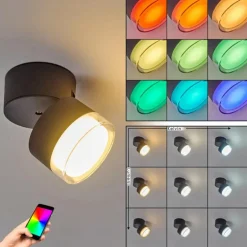 plafonnier extérieur Papagayos LED Anthracite, Blanc, 1 lumière, Changeur de couleurs