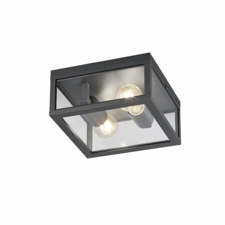 plafonnier extérieur Trio GARONNE Anthracite, 2 lumières