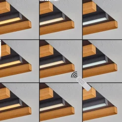 Plafonnier Favorina LED Écru, Noir, 1 lumière, Télécommandes