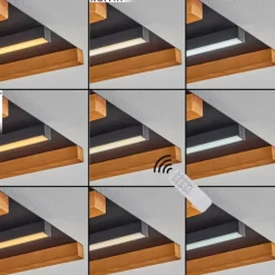 Plafonnier Favorina LED Écru, Noir, 1 lumière, Télécommandes