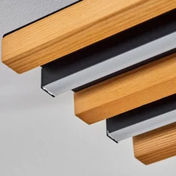 Plafonnier Favorina LED Écru, Noir, 1 lumière, Télécommandes