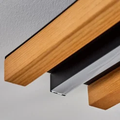 Plafonnier Favorina LED Écru, Noir, 1 lumière, Télécommandes