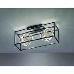 Plafonnier Fischer & Honsel Gisi LED Noir, 2 lumières, Télécommandes