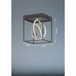 Plafonnier Fischer & Honsel Gisi LED Noir, 1 lumière, Télécommandes