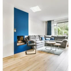 Plafonnier Fischer & Honsel Gorden LED Blanc, 1 lumière, Télécommandes