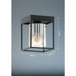 Plafonnier Fischer & Honsel Samu Noir, 1 lumière