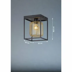 Plafonnier Fischer & Honsel Caydo Noir, 1 lumière