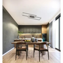 Plafonnier Fischer & Honsel Seth LED Noir, 1 lumière, Télécommandes