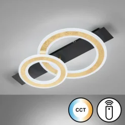 Plafonnier Fischer & Honsel Circle LED Noir, 1 lumière, Télécommandes