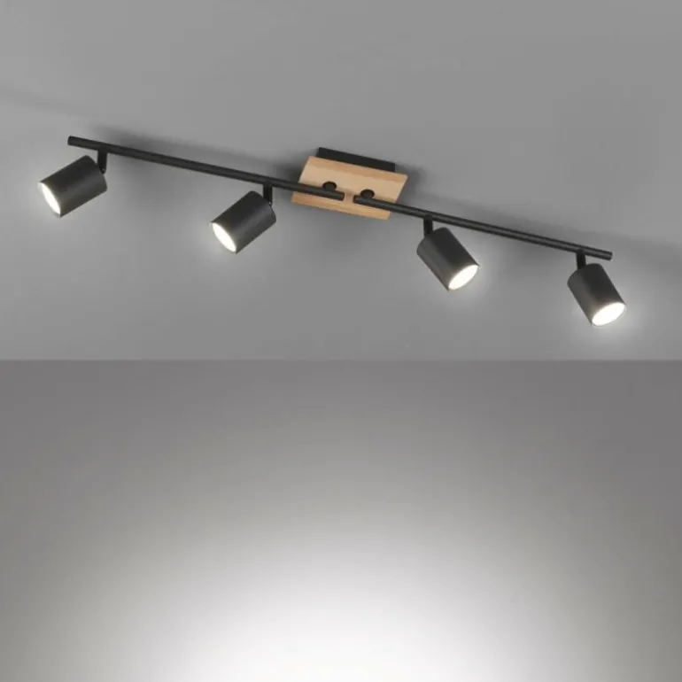Plafonnier Fischer & Honsel Holton LED Noir, 4 lumières