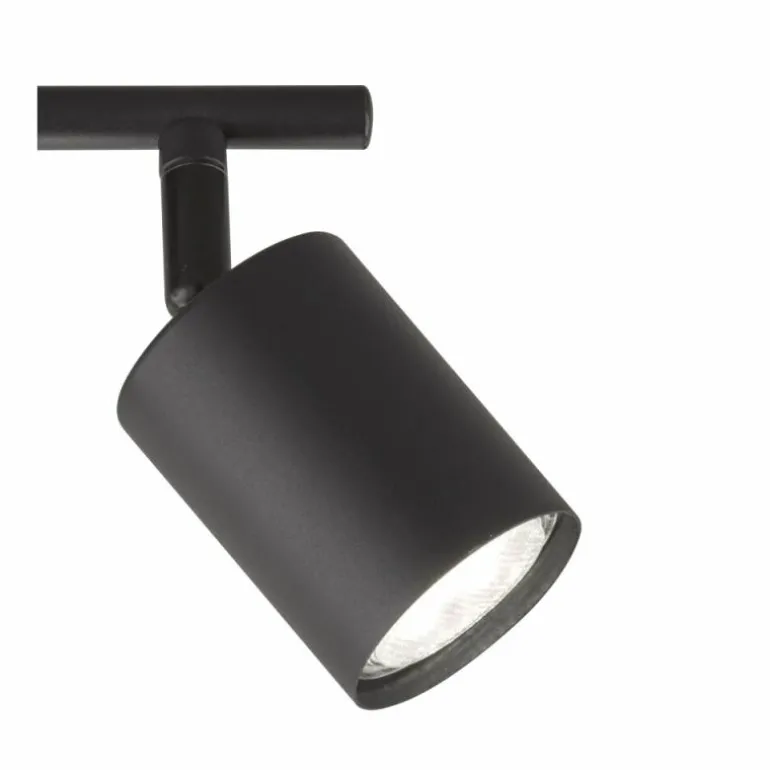 Plafonnier Fischer-Honsel Vano Noir, 2 lumières