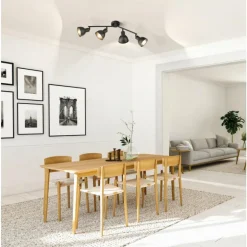 Plafonnier Fischer-Honsel Speedy Noir, 4 lumières