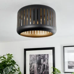 Plafonnier Fournie Noir, 1 lumière