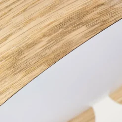 Plafonnier Fuscado LED Couleur bois, 1 lumière