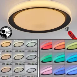 Plafonnier Gladstone LED Noir, Blanc, 1 lumière, Télécommandes