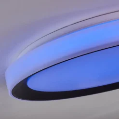 Plafonnier Gladstone LED Noir, Blanc, 1 lumière, Télécommandes