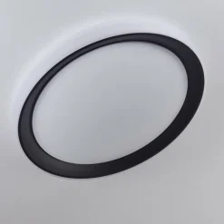 Plafonnier Gladstone LED Noir, Blanc, 1 lumière, Télécommandes