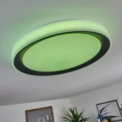 Plafonnier Gladstone LED Noir, Blanc, 1 lumière, Télécommandes