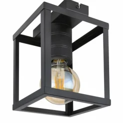 Plafonnier Globo HAGAR Noir, 1 lumière