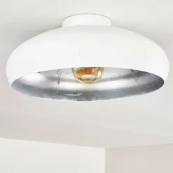 Plafonnier Guayo Aluminium, 1 lumière