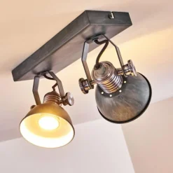 Plafonnier Gudo Gris, Argenté, 2 lumières