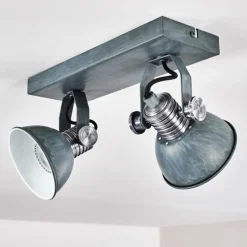 Plafonnier Gudo Gris, Argenté, 2 lumières