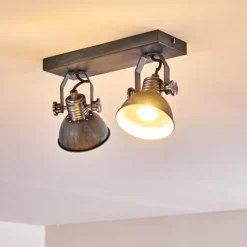 Plafonnier Gudo Gris, Argenté, 2 lumières