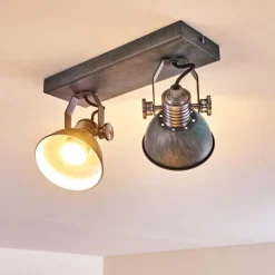 Plafonnier Gudo Gris, Argenté, 2 lumières