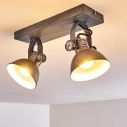 Plafonnier Gudo Gris, Argenté, 2 lumières