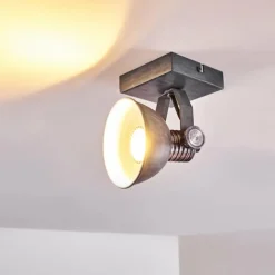 Plafonnier Gudo Gris, Argenté, 1 lumière