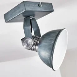 Plafonnier Gudo Gris, Argenté, 1 lumière