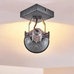 Plafonnier Gudo Gris, Argenté, 1 lumière