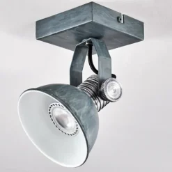 Plafonnier Gudo Gris, Argenté, 1 lumière