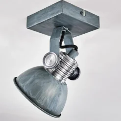 Plafonnier Gudo Gris, Argenté, 1 lumière