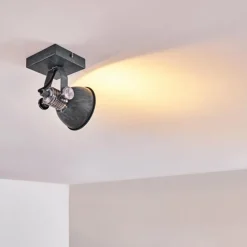 Plafonnier Gudo Gris, Argenté, 1 lumière