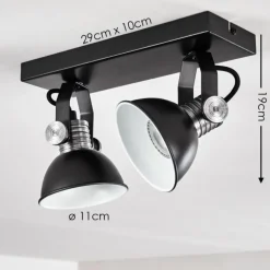 Plafonnier Gudo Noir, Argenté, 2 lumières