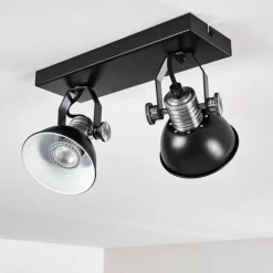 Plafonnier Gudo Noir, Argenté, 2 lumières