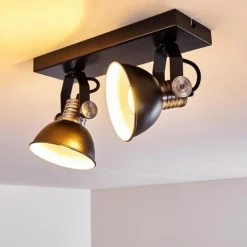 Plafonnier Gudo Noir, Argenté, 2 lumières