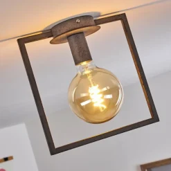 Plafonnier Guinan Gris, Noir, 1 lumière