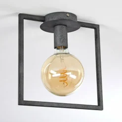 Plafonnier Guinan Gris, Noir, 1 lumière