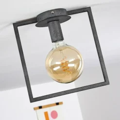 Plafonnier Guinan Gris, Noir, 1 lumière