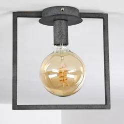 Plafonnier Guinan Gris, Noir, 1 lumière