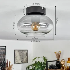 Plafonnier Haikala Clair, Fumé, 1 lumière