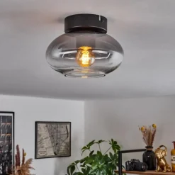 Plafonnier Haikala Clair, Fumé, 1 lumière