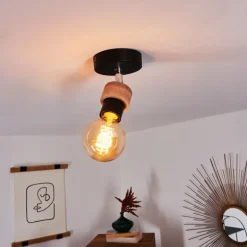 Plafonnier Harran Chrome, Noir, 1 lumière